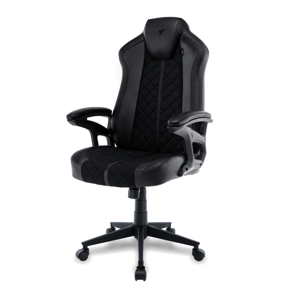 เก้าอี้เกมมิ่ง TTRacing Duo V4 หนัง PU สี Stealth